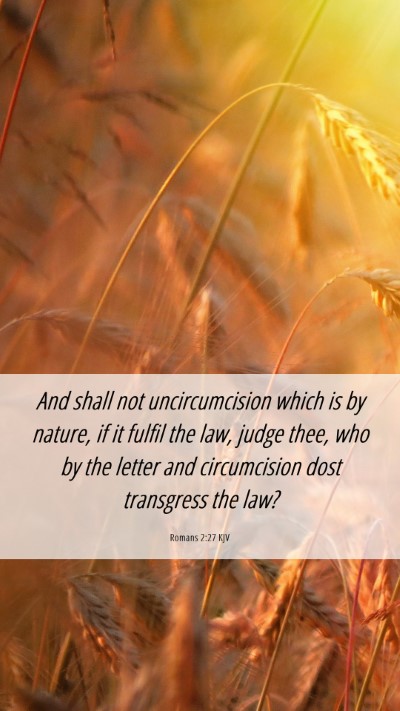 Picture 06 - Romans 2:27 KJV Mobile Phone Wallpaper - And shall not uncircumcision which is by nature, - Mobile Bible Verse Wallpaper