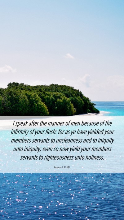 Picture 06 - Romans 6:19 KJV Mobile Phone Wallpaper - I speak after the manner of men because of the - Mobile Bible Verse Wallpaper