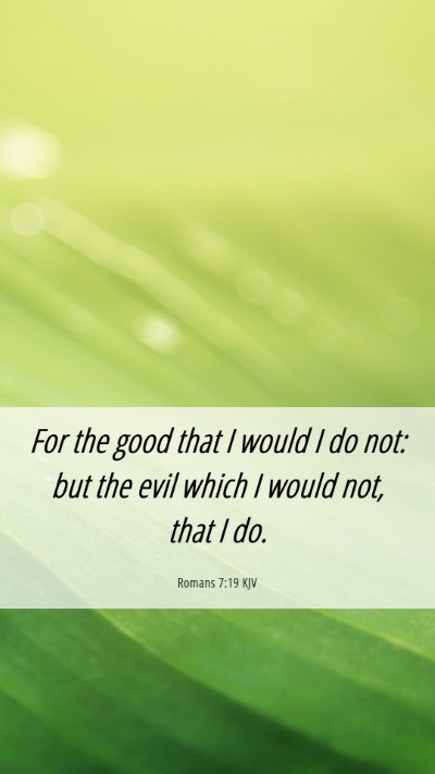 Picture 06 - Romans 7:19 KJV Mobile Phone Wallpaper - For the good that I would I do not: but the evil - Mobile Bible Verse Wallpaper