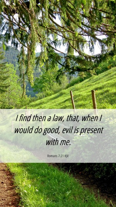 Picture 06 - Romans 7:21 KJV Mobile Phone Wallpaper - I find then a law, that, when I would do good, - Mobile Bible Verse Wallpaper