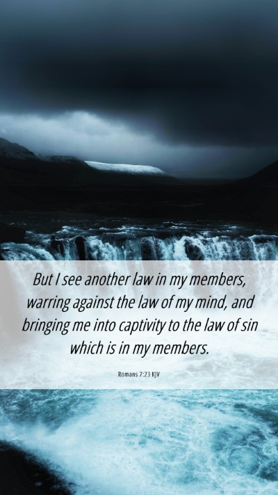 Picture 06 - Romans 7:23 KJV Mobile Phone Wallpaper - But I see another law in my members, warring - Mobile Bible Verse Wallpaper