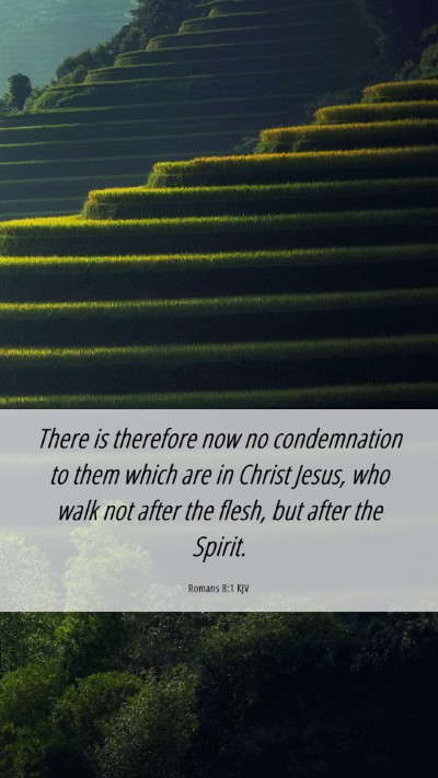 Picture 06 - Romans 8:1 KJV Mobile Phone Wallpaper - There is therefore now no condemnation to them - Mobile Bible Verse Wallpaper