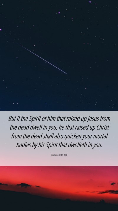Picture 06 - Romans 8:11 KJV Mobile Phone Wallpaper - But if the Spirit of him that raised up Jesus - Mobile Bible Verse Wallpaper