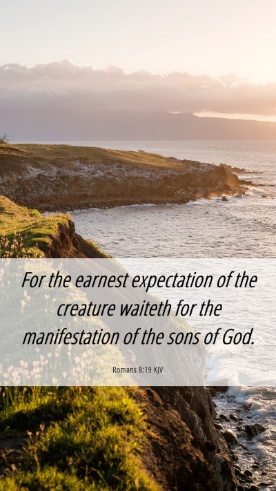 Picture 06 - Romans 8:19 KJV Mobile Phone Wallpaper - For the earnest expectation of the creature - Mobile Bible Verse Wallpaper