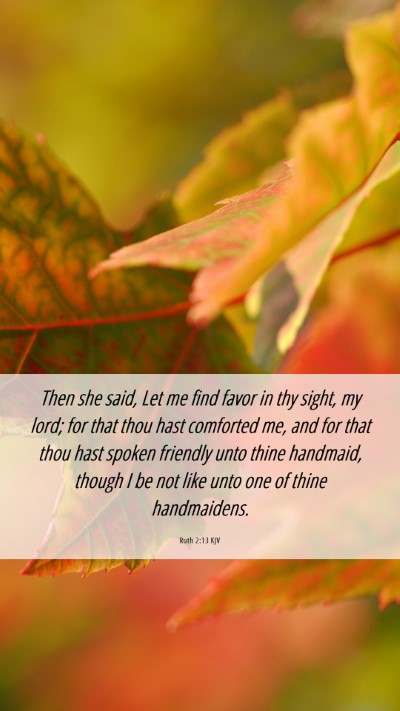 Picture 06 - Ruth 2:13 KJV Mobile Phone Wallpaper - Then she said, Let me find favor in thy sight, my - Mobile Bible Verse Wallpaper