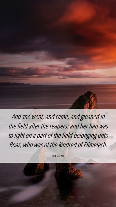 Picture 06 - Ruth 2:3 KJV Mobile Phone Wallpaper - And she went, and came, and gleaned in the field - Mobile Bible Verse Wallpaper