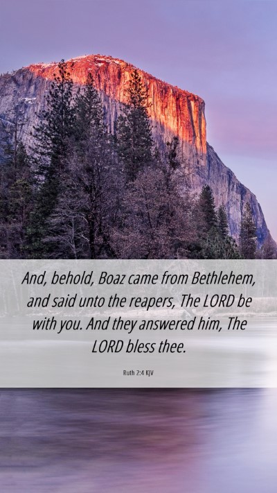 Picture 06 - Ruth 2:4 KJV Mobile Phone Wallpaper - And, behold, Boaz came from Bethlehem, and said - Mobile Bible Verse Wallpaper