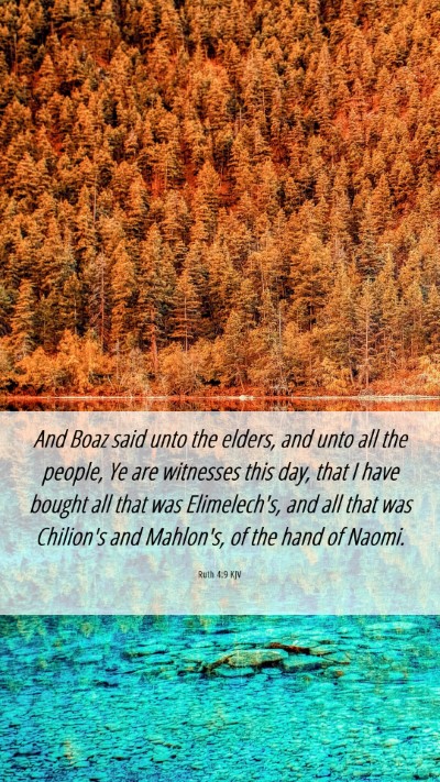 Picture 06 - Ruth 4:9 KJV Mobile Phone Wallpaper - And Boaz said unto the elders, and unto all the - Mobile Bible Verse Wallpaper