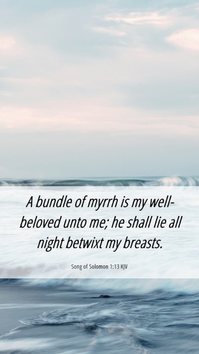 Picture 06 - Song of Solomon 1:13 KJV Mobile Phone Wallpaper - A bundle of myrrh is my well-beloved unto me; he - Mobile Bible Verse Wallpaper