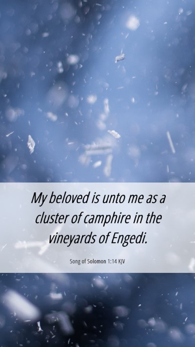 Picture 06 - Song of Solomon 1:14 KJV Mobile Phone Wallpaper - My beloved is unto me as a cluster of camphire in - Mobile Bible Verse Wallpaper