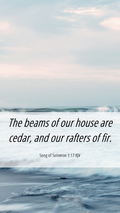 Picture 06 - Song of Solomon 1:17 KJV Mobile Phone Wallpaper - The beams of our house are cedar, and our rafters - Mobile Bible Verse Wallpaper
