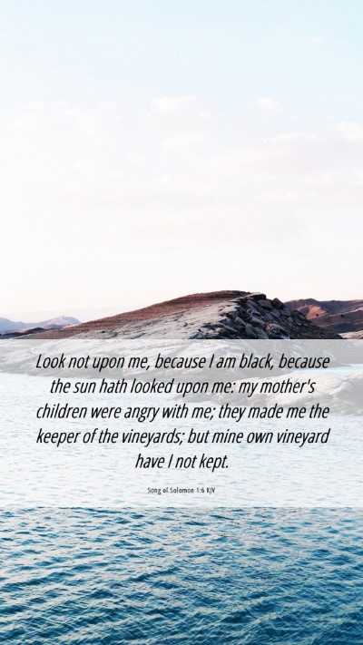 Picture 06 - Song of Solomon 1:6 KJV Mobile Phone Wallpaper - Look not upon me, because I am black, because the - Mobile Bible Verse Wallpaper
