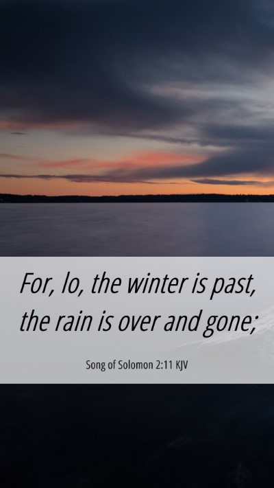 Picture 06 - Song of Solomon 2:11 KJV Mobile Phone Wallpaper - For, lo, the winter is past, the rain is over and - Mobile Bible Verse Wallpaper