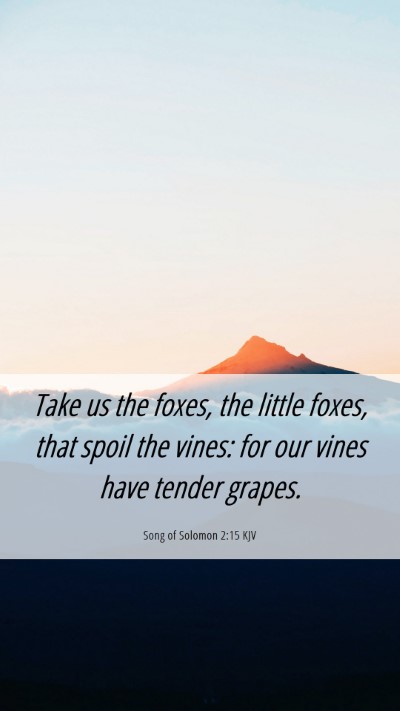 Picture 06 - Song of Solomon 2:15 KJV Mobile Phone Wallpaper - Take us the foxes, the little foxes, that spoil - Mobile Bible Verse Wallpaper