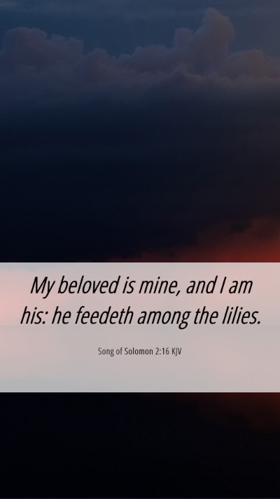 Picture 06 - Song of Solomon 2:16 KJV Mobile Phone Wallpaper - My beloved is mine, and I am his: he feedeth - Mobile Bible Verse Wallpaper