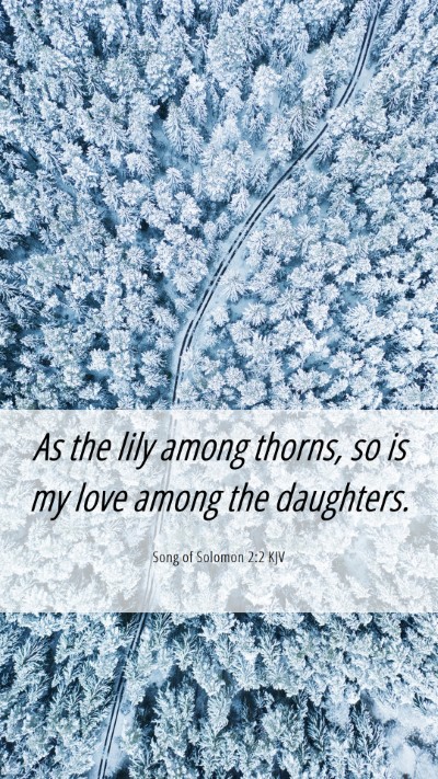 Picture 06 - Song of Solomon 2:2 KJV Mobile Phone Wallpaper - As the lily among thorns, so is my love among the - Mobile Bible Verse Wallpaper