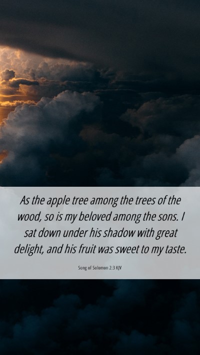 Picture 06 - Song of Solomon 2:3 KJV Mobile Phone Wallpaper - As the apple tree among the trees of the wood, so - Mobile Bible Verse Wallpaper