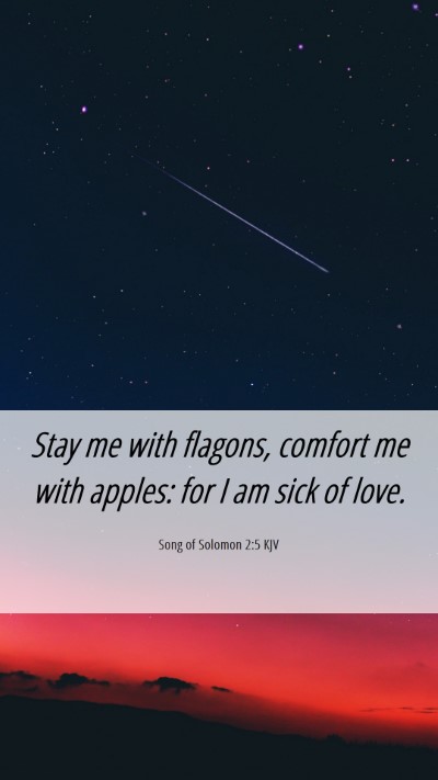 Picture 06 - Song of Solomon 2:5 KJV Mobile Phone Wallpaper - Stay me with flagons, comfort me with apples: for - Mobile Bible Verse Wallpaper