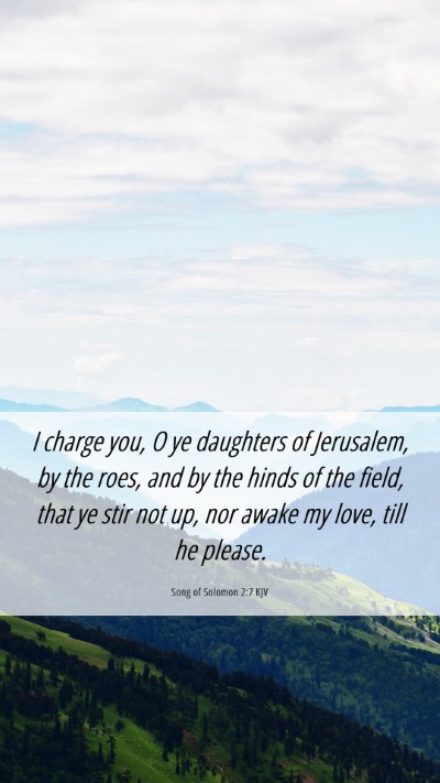 Picture 06 - Song of Solomon 2:7 KJV Mobile Phone Wallpaper - I charge you, O ye daughters of Jerusalem, by the - Mobile Bible Verse Wallpaper