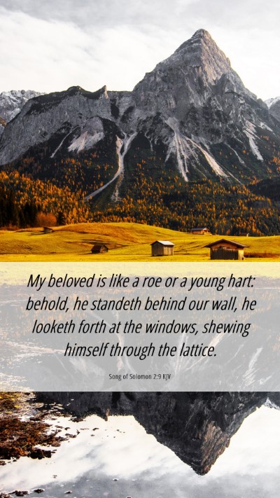 Picture 06 - Song of Solomon 2:9 KJV Mobile Phone Wallpaper - My beloved is like a roe or a young hart: behold, - Mobile Bible Verse Wallpaper