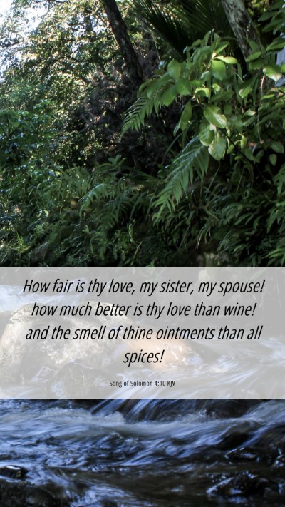 Picture 06 - Song of Solomon 4:10 KJV Mobile Phone Wallpaper - How fair is thy love, my sister, my spouse! how - Mobile Bible Verse Wallpaper