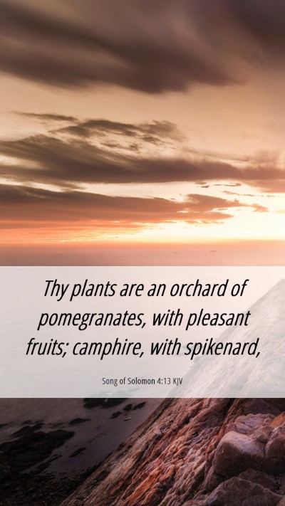 Picture 06 - Song of Solomon 4:13 KJV Mobile Phone Wallpaper - Thy plants are an orchard of pomegranates, with - Mobile Bible Verse Wallpaper