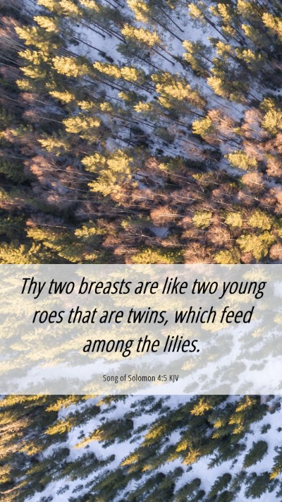 Picture 06 - Song of Solomon 4:5 KJV Mobile Phone Wallpaper - Thy two breasts are like two young roes that are - Mobile Bible Verse Wallpaper