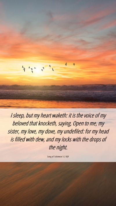 Picture 06 - Song of Solomon 5:2 KJV Mobile Phone Wallpaper - I sleep, but my heart waketh: it is the voice of - Mobile Bible Verse Wallpaper