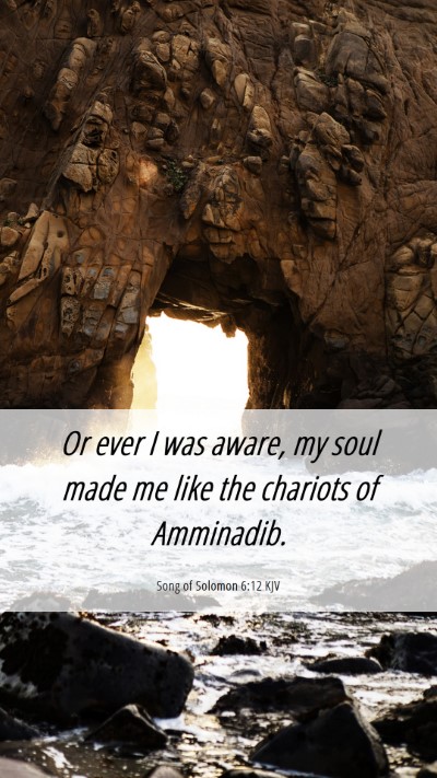 Picture 06 - Song of Solomon 6:12 KJV Mobile Phone Wallpaper - Or ever I was aware, my soul made me like the - Mobile Bible Verse Wallpaper