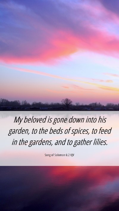 Picture 06 - Song of Solomon 6:2 KJV Mobile Phone Wallpaper - My beloved is gone down into his garden, to the - Mobile Bible Verse Wallpaper