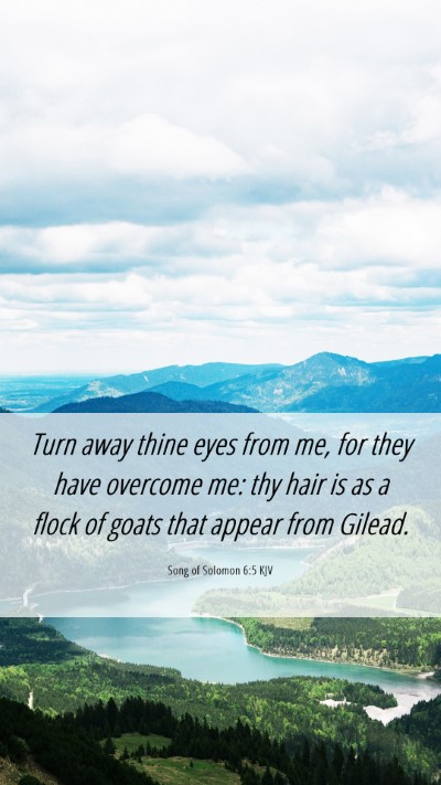 Picture 06 - Song of Solomon 6:5 KJV Mobile Phone Wallpaper - Turn away thine eyes from me, for they have - Mobile Bible Verse Wallpaper