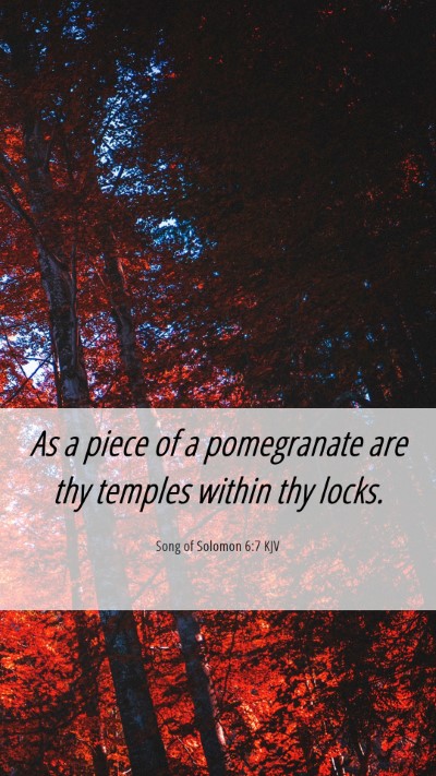 Picture 06 - Song of Solomon 6:7 KJV Mobile Phone Wallpaper - As a piece of a pomegranate are thy temples - Mobile Bible Verse Wallpaper