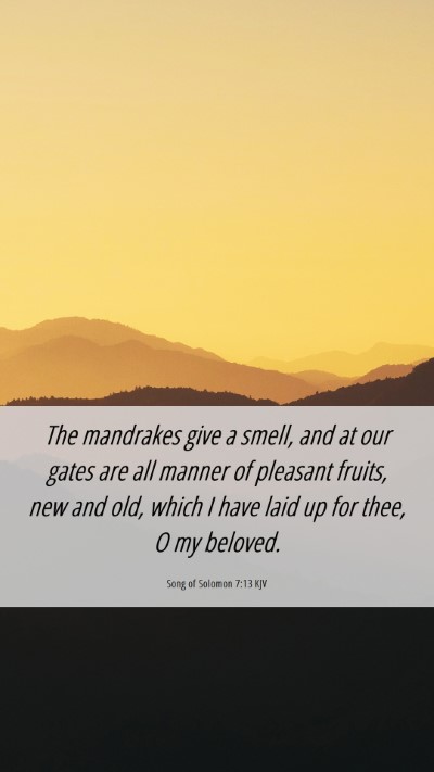 Picture 06 - Song of Solomon 7:13 KJV Mobile Phone Wallpaper - The mandrakes give a smell, and at our gates are - Mobile Bible Verse Wallpaper