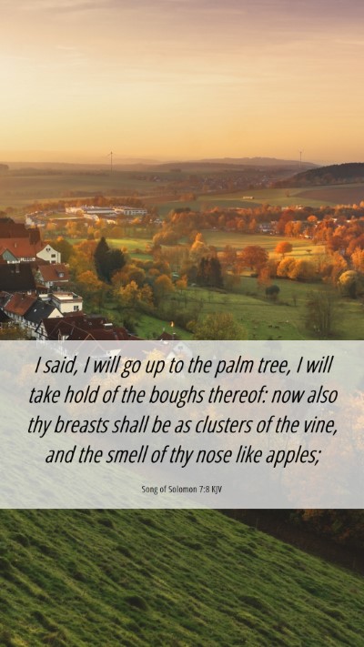Picture 06 - Song of Solomon 7:8 KJV Mobile Phone Wallpaper - I said, I will go up to the palm tree, I will - Mobile Bible Verse Wallpaper