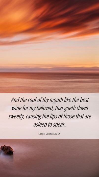 Picture 06 - Song of Solomon 7:9 KJV Mobile Phone Wallpaper - And the roof of thy mouth like the best wine for - Mobile Bible Verse Wallpaper