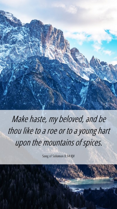 Picture 06 - Song of Solomon 8:14 KJV Mobile Phone Wallpaper - Make haste, my beloved, and be thou like to a roe - Mobile Bible Verse Wallpaper