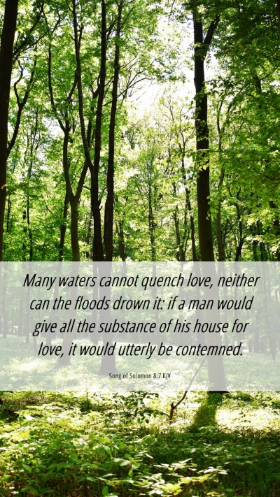 Picture 06 - Song of Solomon 8:7 KJV Mobile Phone Wallpaper - Many waters cannot quench love, neither can the - Mobile Bible Verse Wallpaper