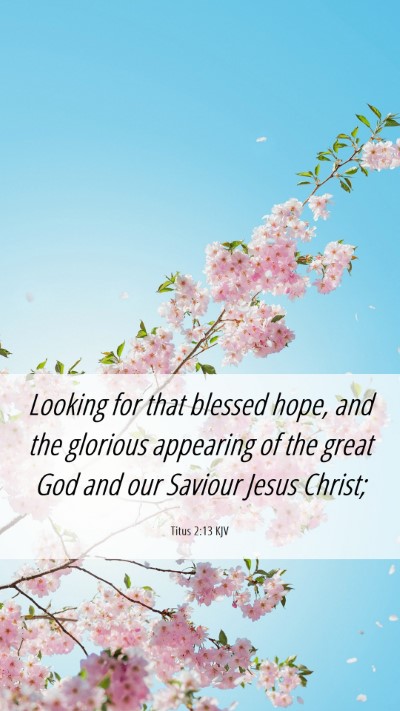 Picture 06 - Titus 2:13 KJV Mobile Phone Wallpaper - Looking for that blessed hope, and the glorious - Mobile Bible Verse Wallpaper