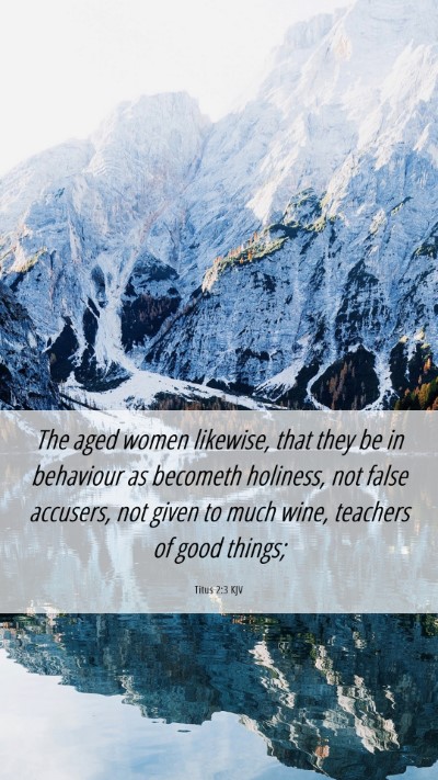 Picture 06 - Titus 2:3 KJV Mobile Phone Wallpaper - The aged women likewise, that they be in - Mobile Bible Verse Wallpaper