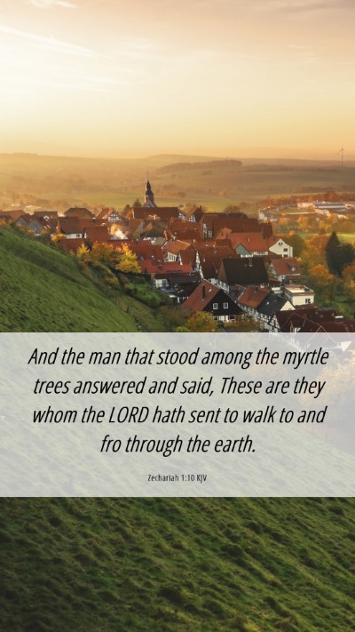 Picture 06 - Zechariah 1:10 KJV Mobile Phone Wallpaper - And the man that stood among the myrtle trees - Mobile Bible Verse Wallpaper