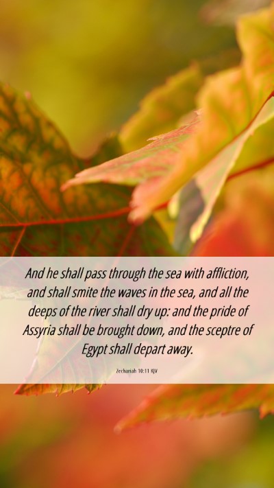 Picture 06 - Zechariah 10:11 KJV Mobile Phone Wallpaper - And he shall pass through the sea with - Mobile Bible Verse Wallpaper