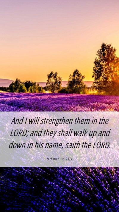 Picture 06 - Zechariah 10:12 KJV Mobile Phone Wallpaper - And I will strengthen them in the LORD; and they - Mobile Bible Verse Wallpaper