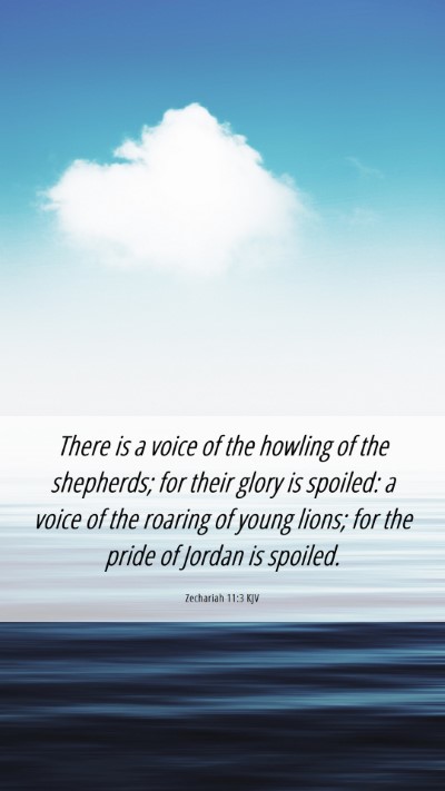 Picture 06 - Zechariah 11:3 KJV Mobile Phone Wallpaper - There is a voice of the howling of the shepherds; - Mobile Bible Verse Wallpaper
