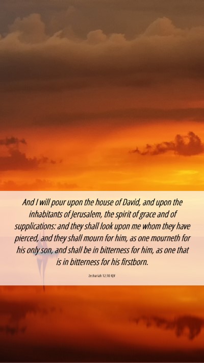 Picture 06 - Zechariah 12:10 KJV Mobile Phone Wallpaper - And I will pour upon the house of David, and upon - Mobile Bible Verse Wallpaper