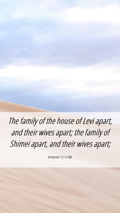 Picture 06 - Zechariah 12:13 KJV Mobile Phone Wallpaper - The family of the house of Levi apart, and their - Mobile Bible Verse Wallpaper