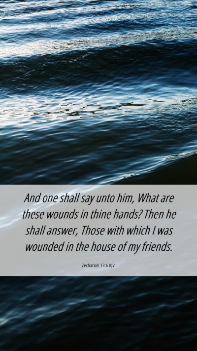 Picture 06 - Zechariah 13:6 KJV Mobile Phone Wallpaper - And one shall say unto him, What are these wounds - Mobile Bible Verse Wallpaper