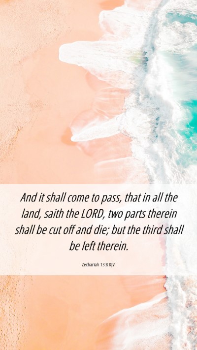 Picture 06 - Zechariah 13:8 KJV Mobile Phone Wallpaper - And it shall come to pass, that in all the land, - Mobile Bible Verse Wallpaper