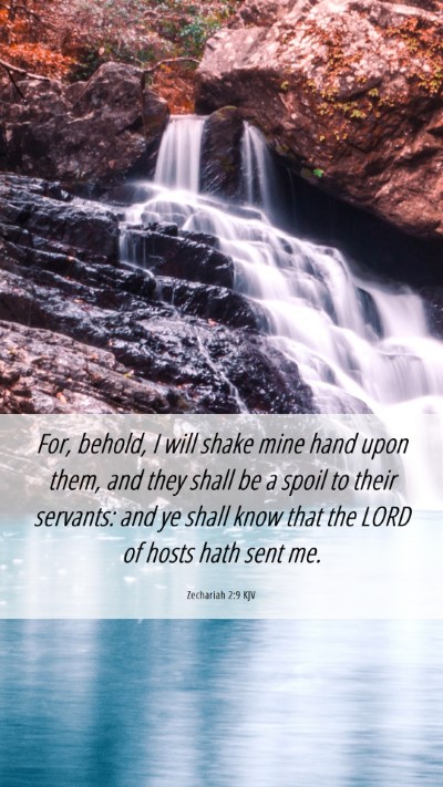 Picture 06 - Zechariah 2:9 KJV Mobile Phone Wallpaper - For, behold, I will shake mine hand upon them, - Mobile Bible Verse Wallpaper