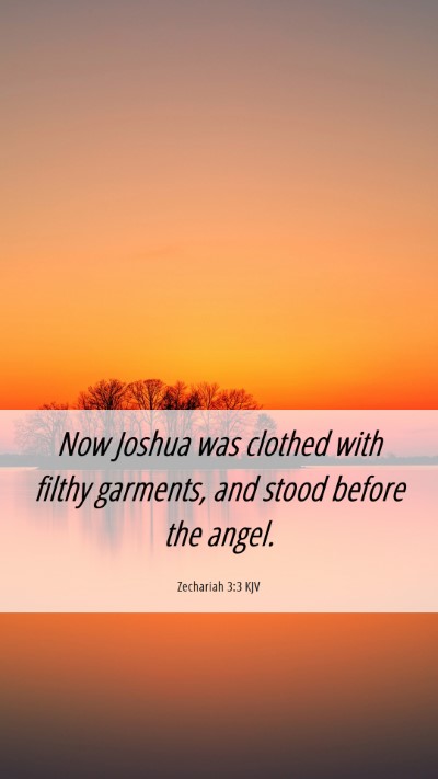 Picture 06 - Zechariah 3:3 KJV Mobile Phone Wallpaper - Now Joshua was clothed with filthy garments, and - Mobile Bible Verse Wallpaper
