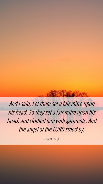 Picture 06 - Zechariah 3:5 KJV Mobile Phone Wallpaper - And I said, Let them set a fair mitre upon his - Mobile Bible Verse Wallpaper